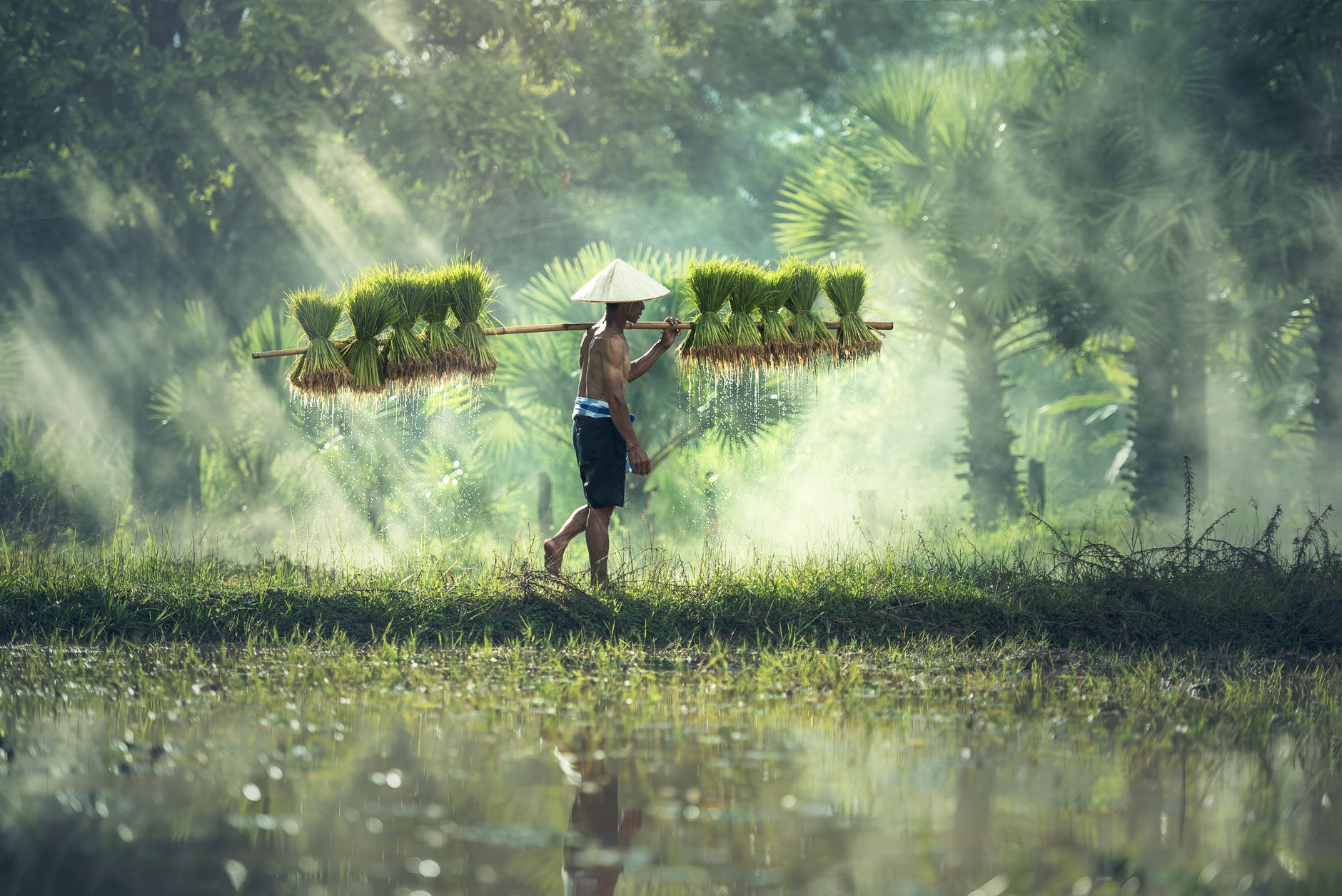 Thailand is becoming a critical country for blockchain