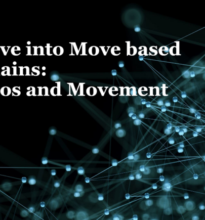 Deep-Dive into Move-based Blockchains